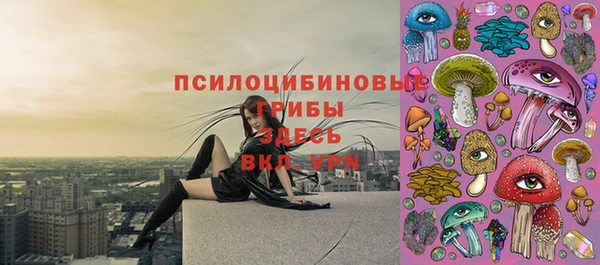 синтетический гашиш Алексин
