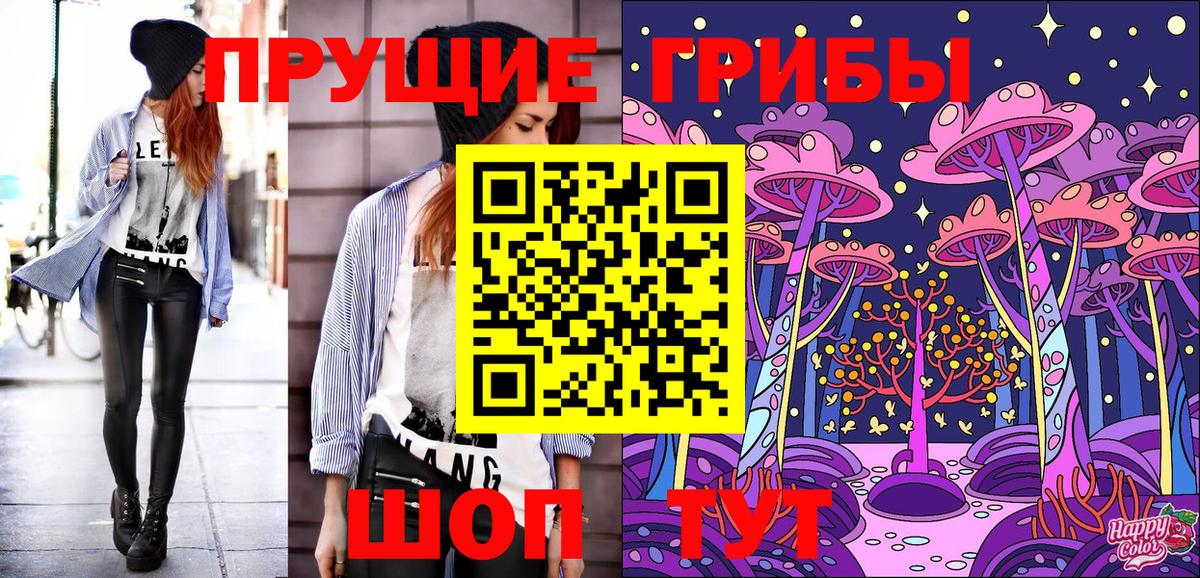 Псилоцибиновые грибы Psilocybine cubensis  Вход с VPN  Бирск 