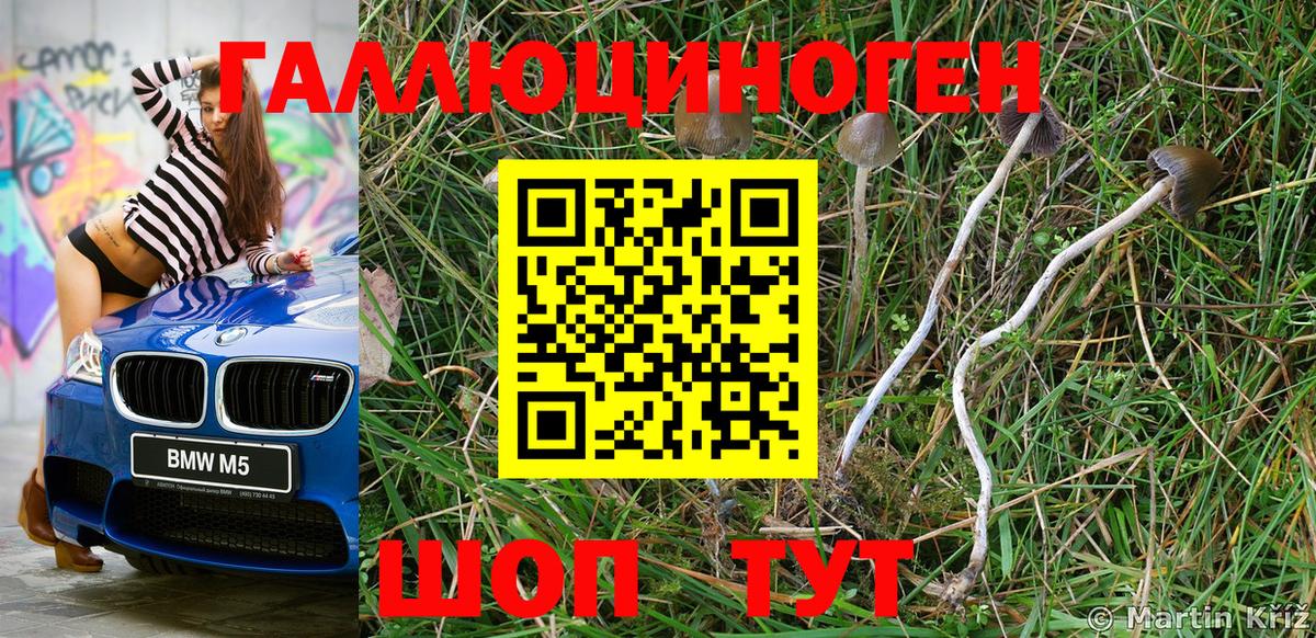 Псилоцибиновые грибы прущие грибы Бирск